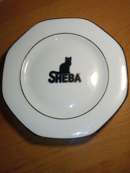 talerzyk Shiba Seltmann Weiden