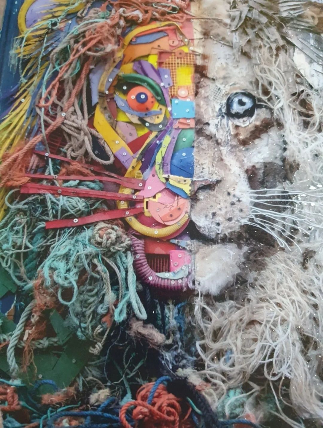 Bordalo II - Half Lion