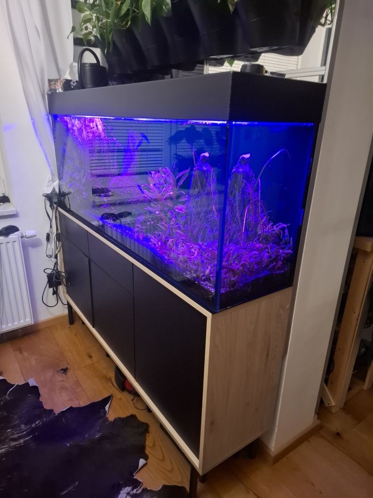 Akwarium 240l komplet