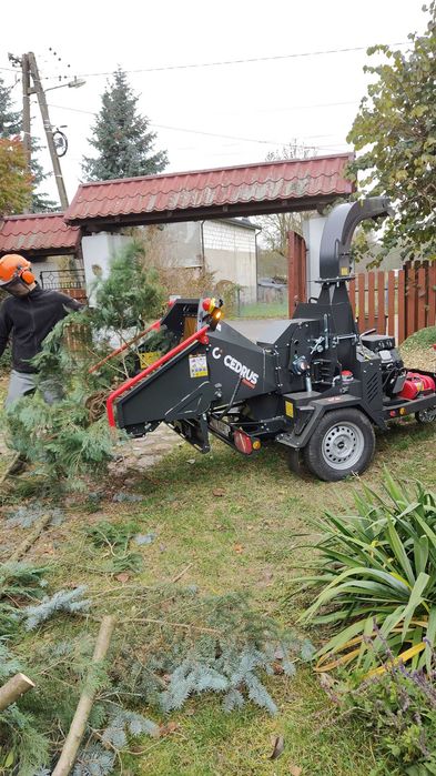 Wycinka i pielęgnacja drzew. Czyszczenie działek. Koszenie