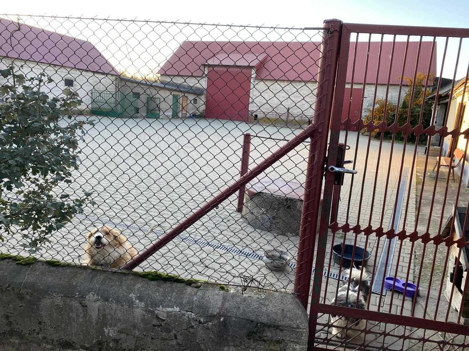 Zadbany dom  , duże budynki ,  2,34 ha ziemi wokół bud.