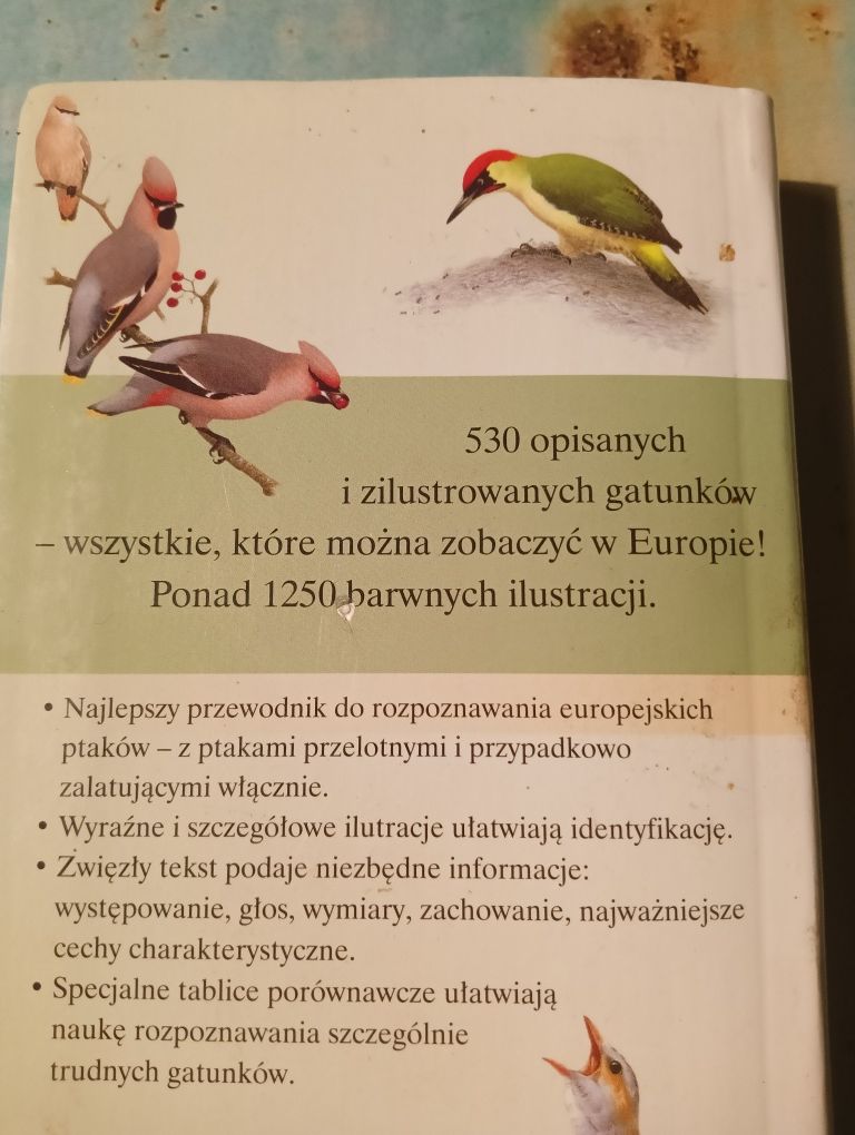 Przewodnik Ptaki Europy