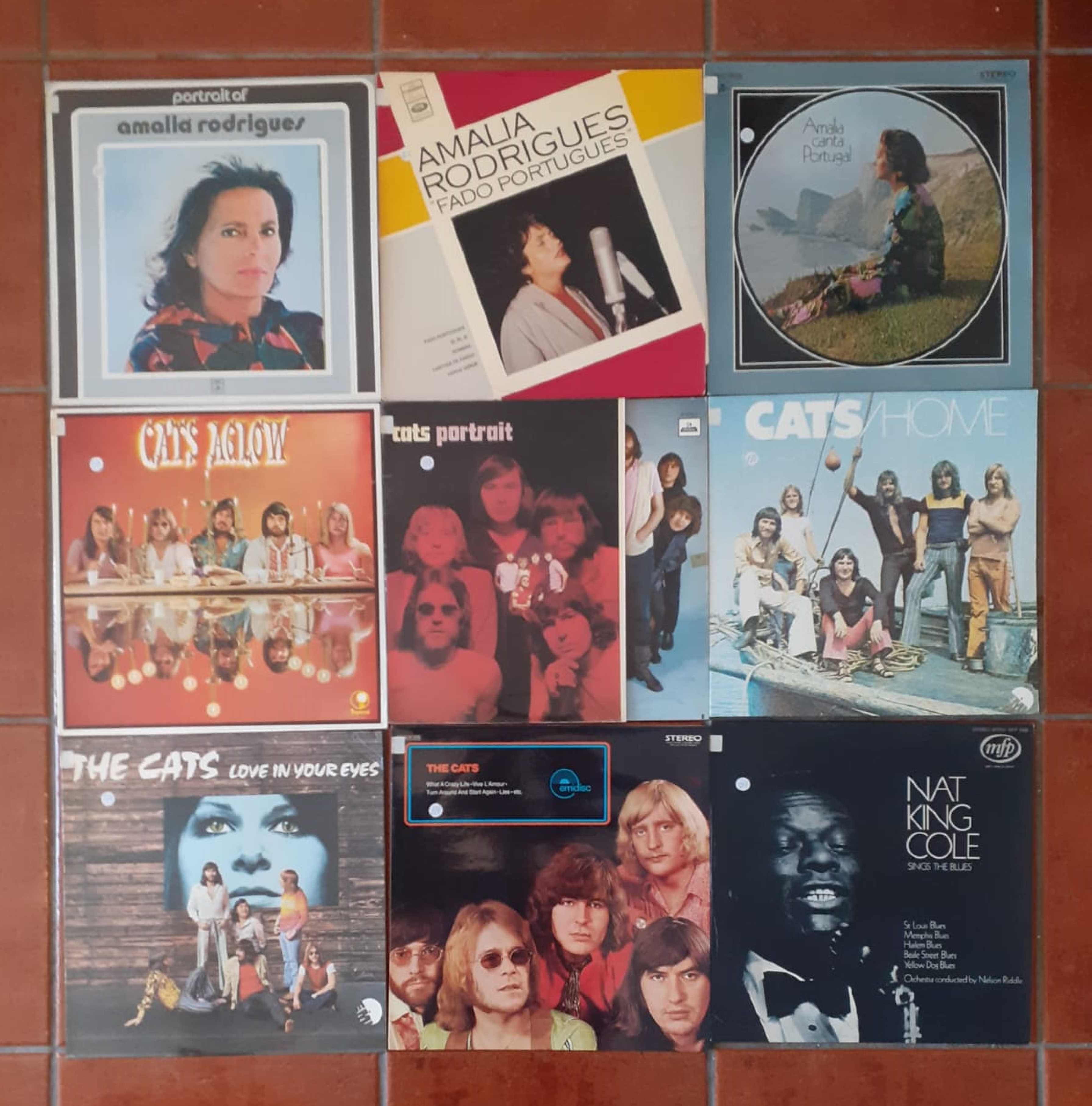 Coleção Discos Vinil