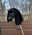 Piękny hobby horse