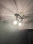 Sprzedam Lampa sufitowa Alano, czarna, 2-punktowa