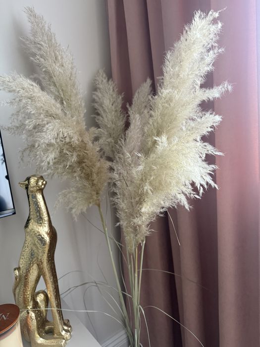 Trawa Pampasowa kwiaty Bżowe długie i krótkie 7szt