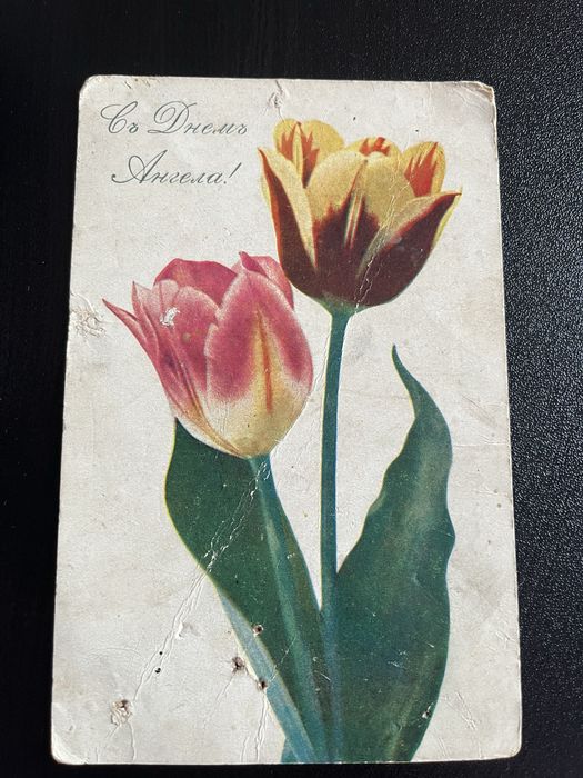 Поштові листівки 3 шт. старовинні старі