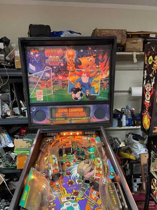 Flipper World Cup USA94