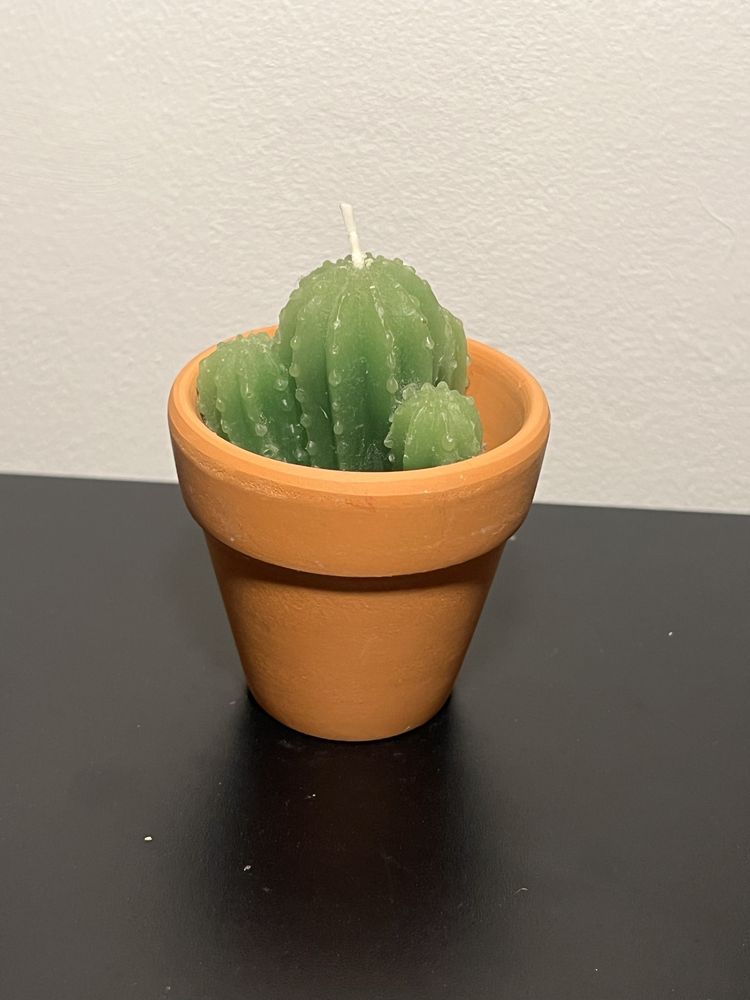 Świeczka kaktus w doniczce