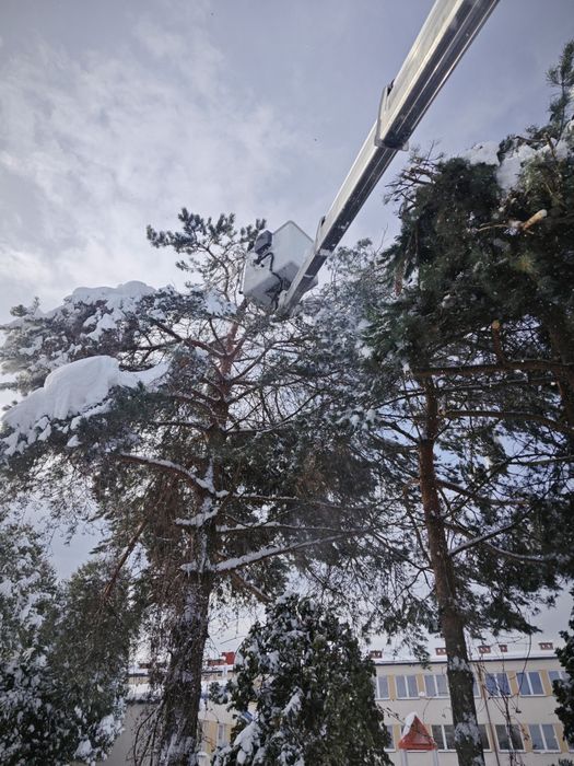 Wycinka drzew ,rębakowanie,usługi ogrodnicze