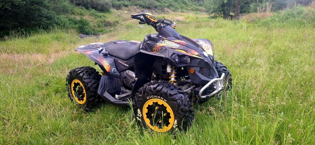 Can am 800 renegade