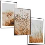 30x40 obrazy w ramie plakaty ramka TRAWA PAMPASOWA TRZCINA NATURA BOHO