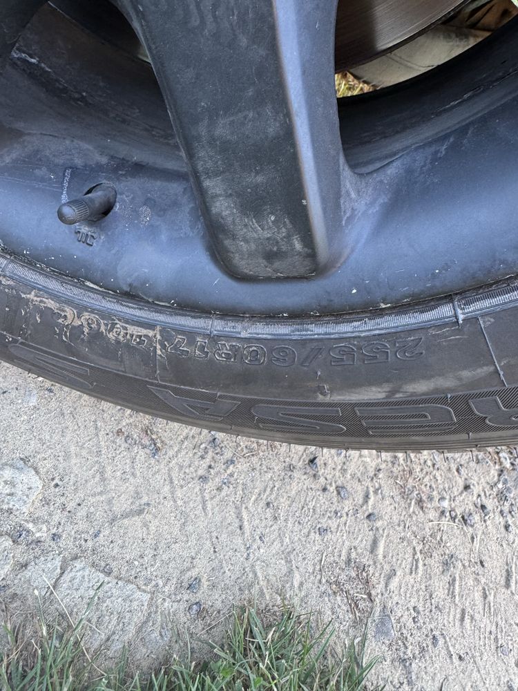 Maxxis зимова гума