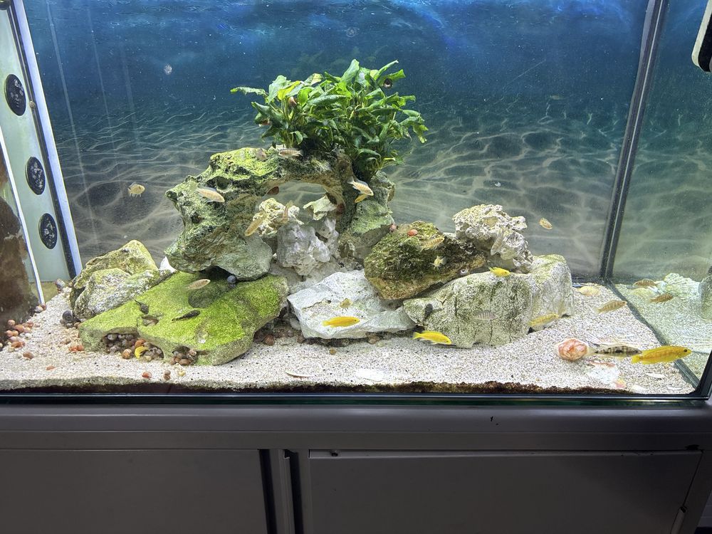 Aquario com sump interna