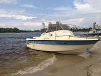 катер  orka з підвісним двигуном evinrude