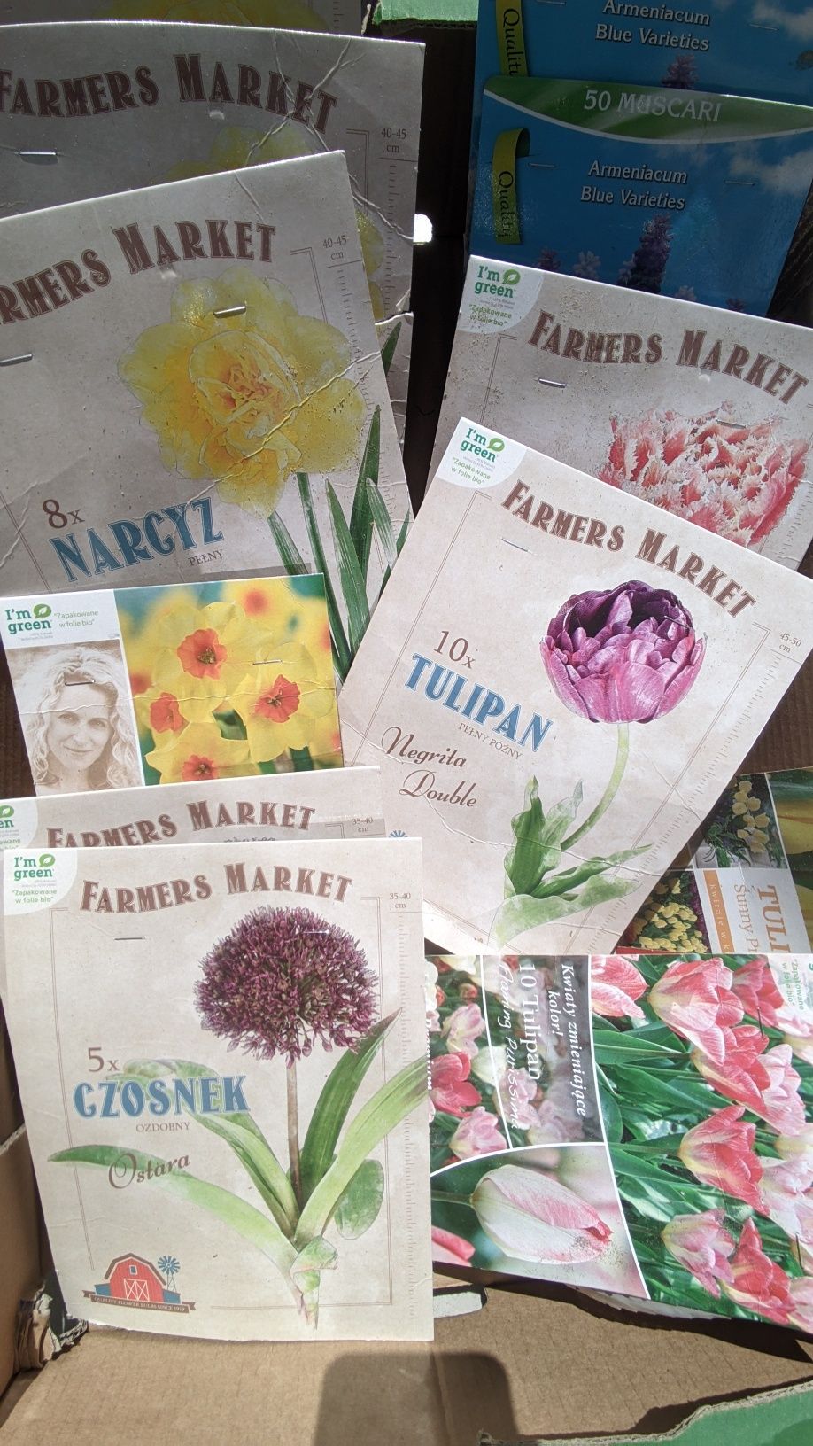 Cebulki mieczyki krokus tulipan szafirki czosnek cebule narcyz mix