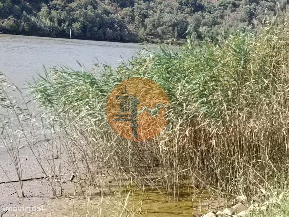 Terreno Rustico Com 760 M2 Junto Ao Rio Guadiana - Pontal - Alcoutim