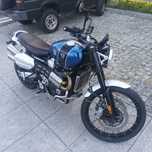 Triumph Scrambler  XC