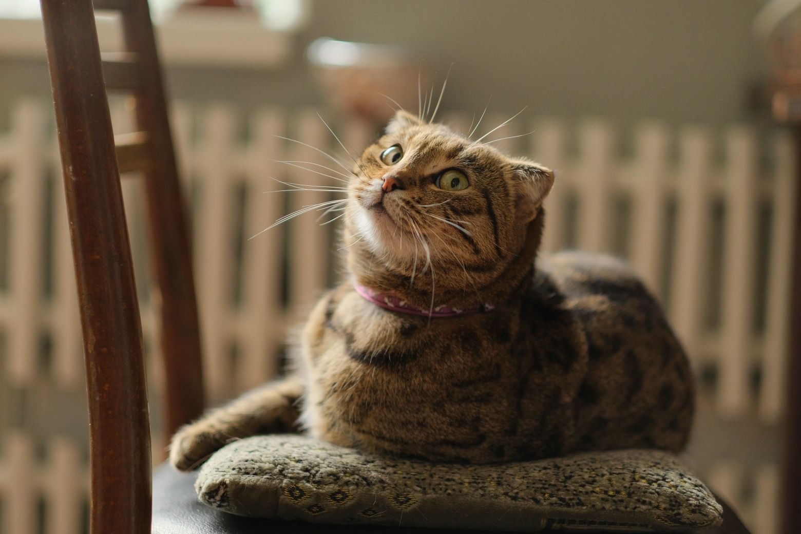 Об'єктив Fujifilm XF 56mm f / 1.2 R