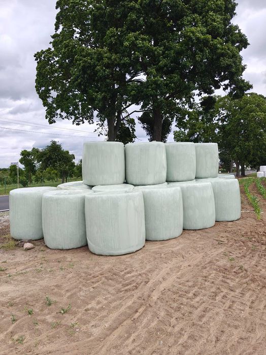 Baloty z lucerny i sianokiszonki