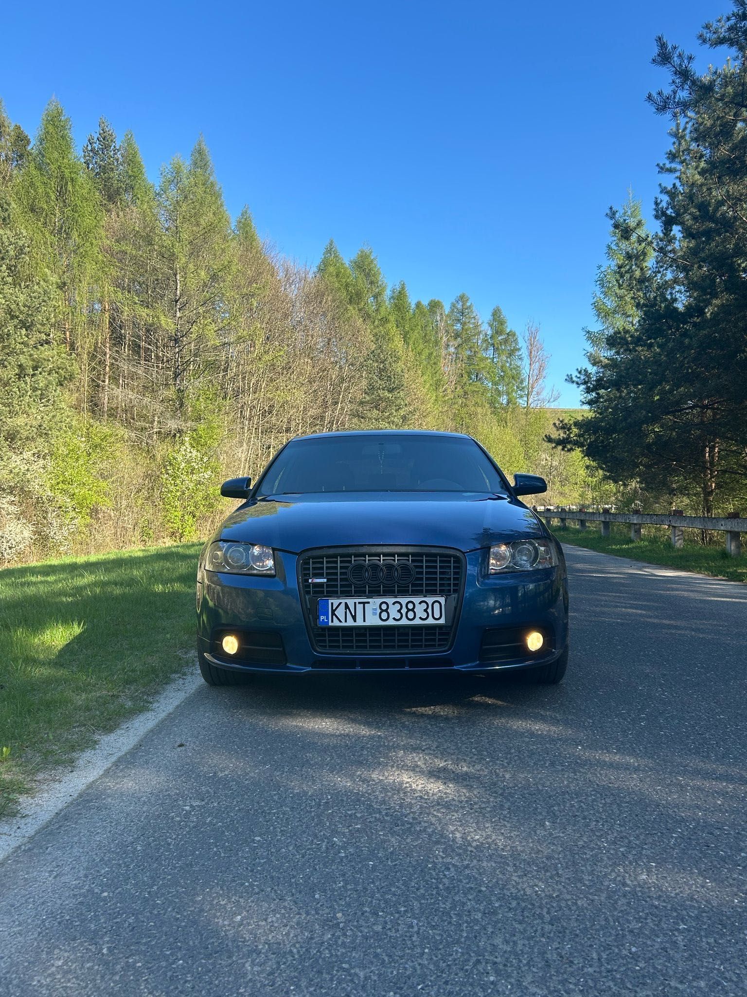 Audi a3 8P 2.0FSI