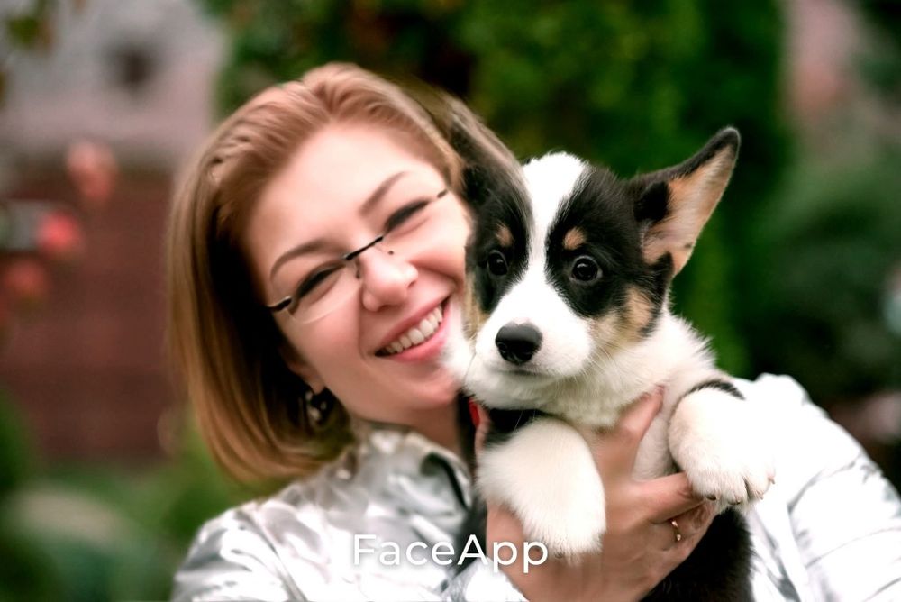 Хлопчик коргі  КСУ