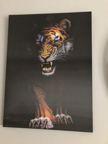 Obraz tygrys 3D (40x30)