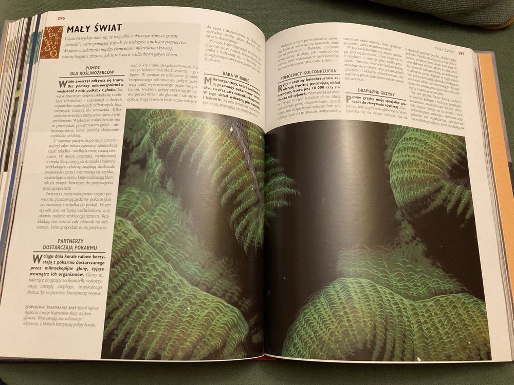 Książka "1000 Cudów Przyrody" Reader's Digest, jak nowa