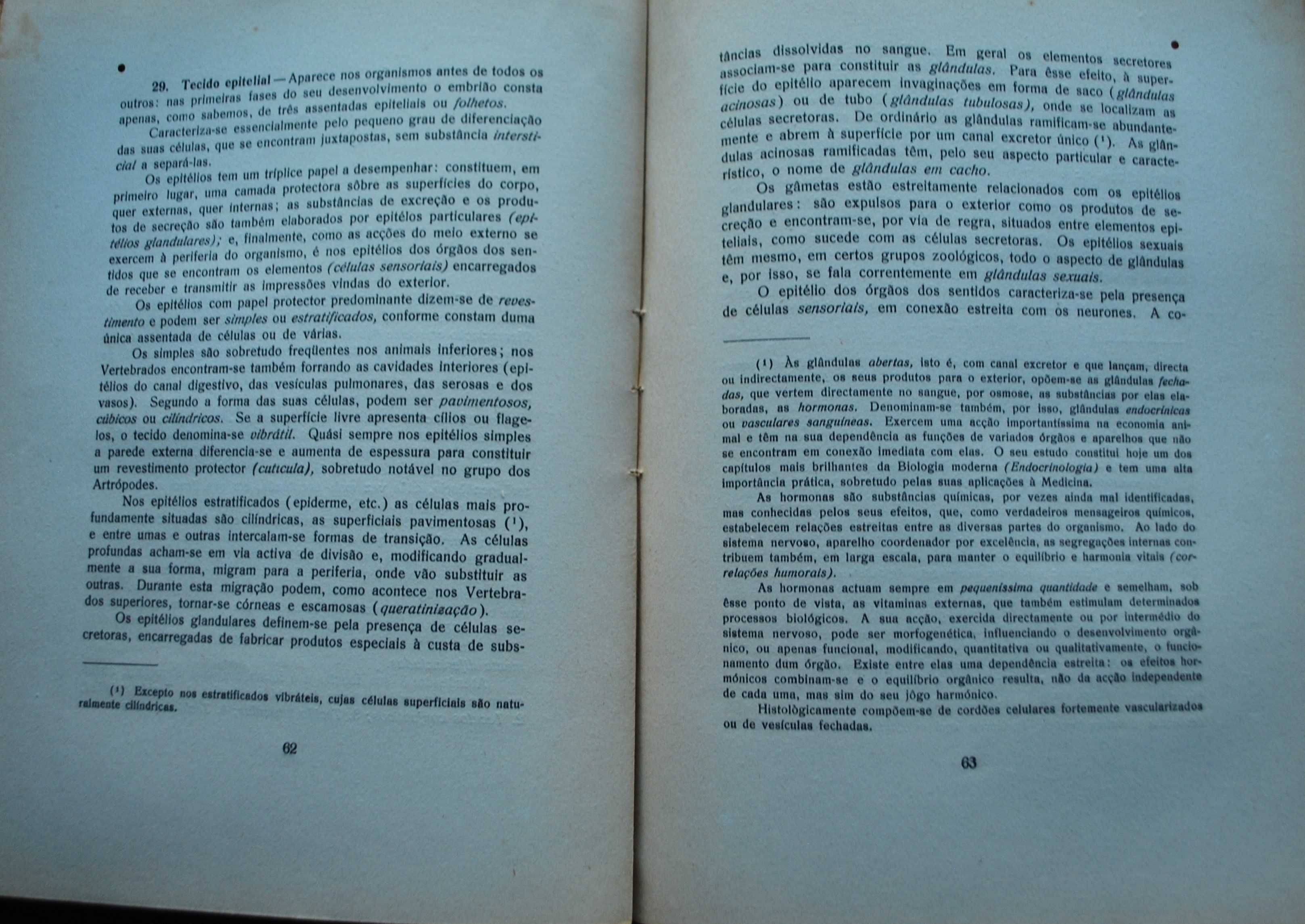 As Bases da Zoologia de António Machado - 1º Edição Ano de 1943