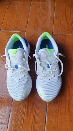 Sapatilhas Nike Renew Run