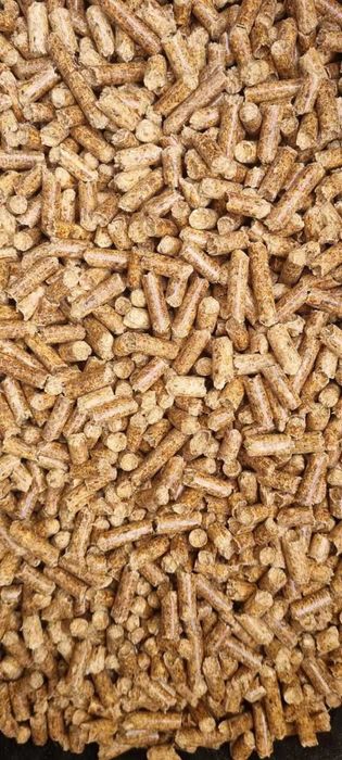 sprzedaż ENplus A1 (6 mm) Łotwa