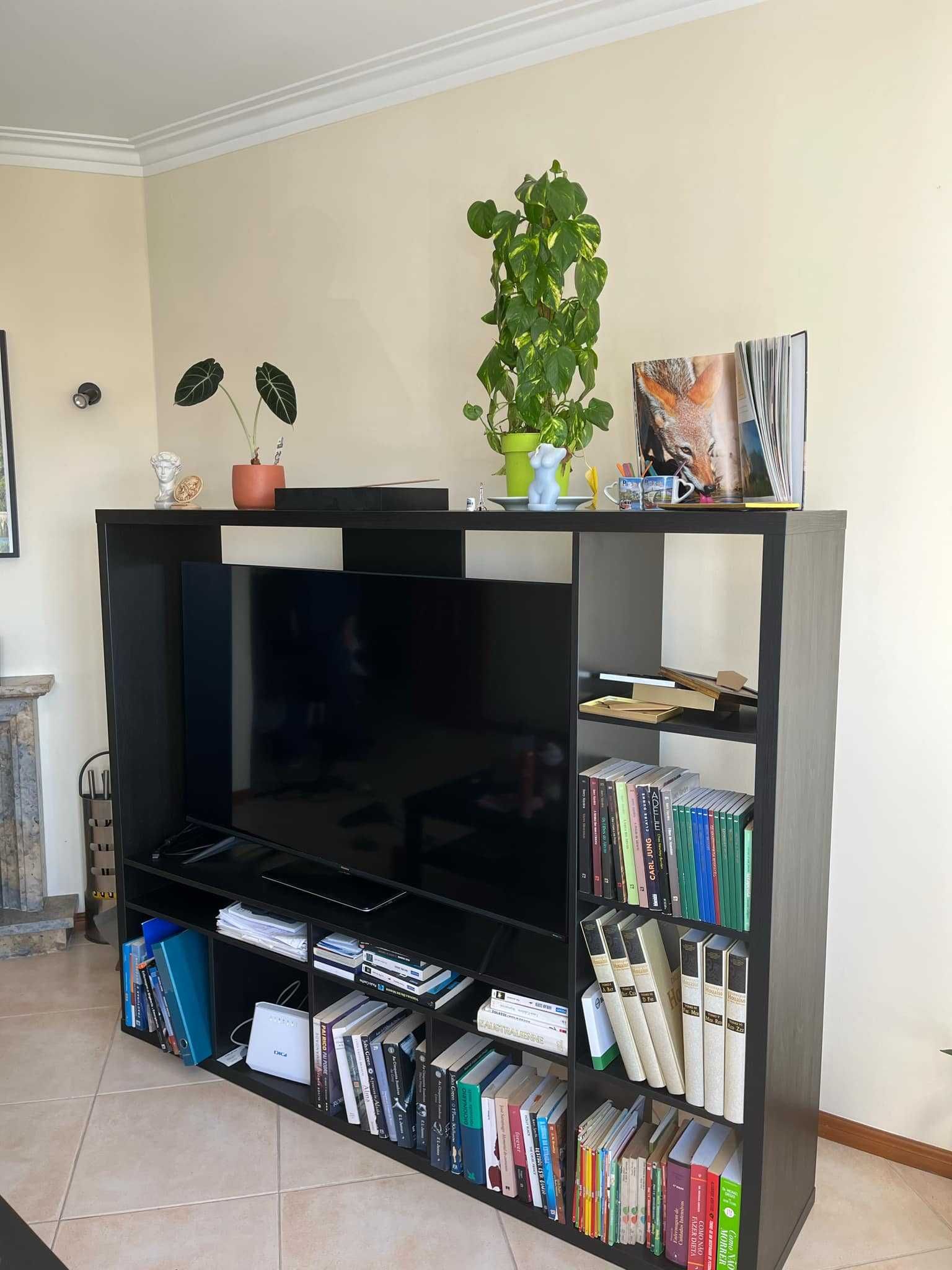 movel TV LAPPLAND novo