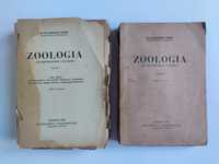 Zoologia - Dr Kazimierz Simm - 1948, 1949 rok