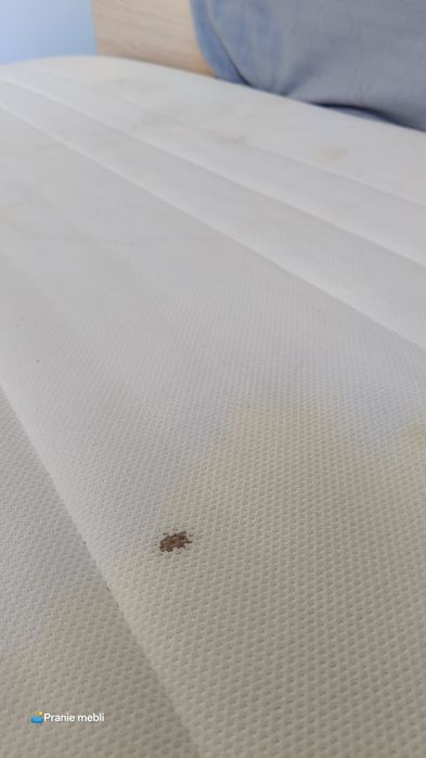 Pranie Tapicerki, Sof, Kanap, Krzeseł, Wersalki, Materaca, Wykładziny,