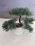 Drzewko Bonsai ( Sztuczne)