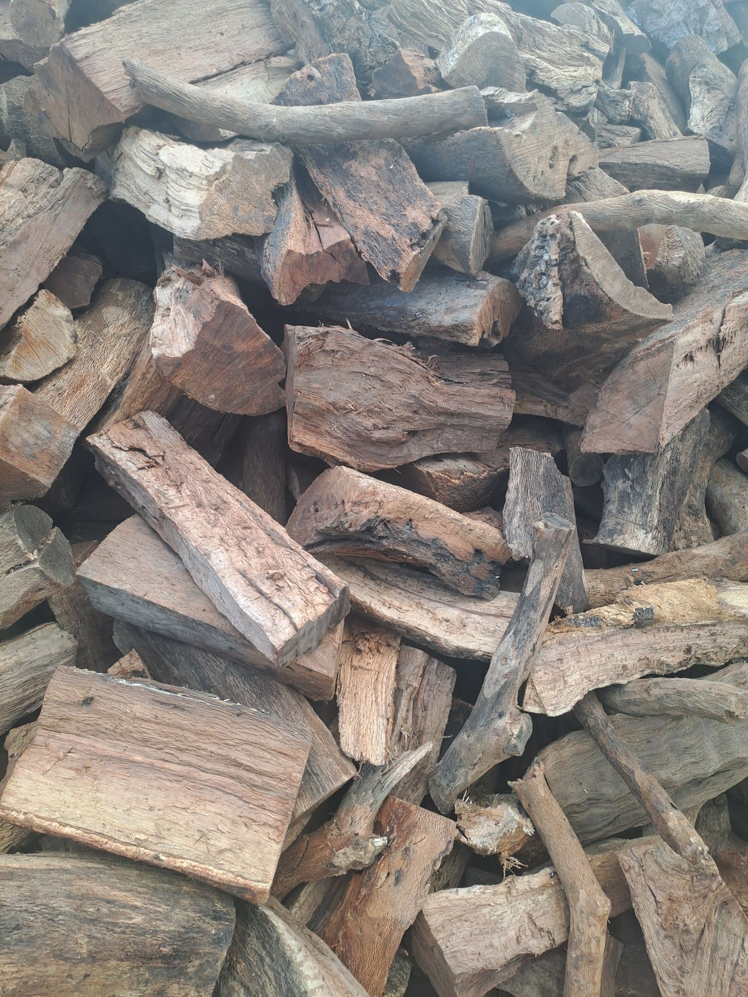 Lenha/ Firewood azinho-sobro
