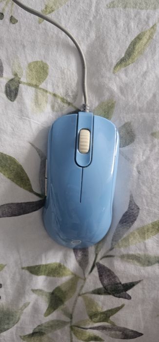 Myszka Zowie EC2-B DIVINA BLUE