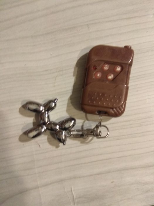 Знайдено пульт у Луцьку.