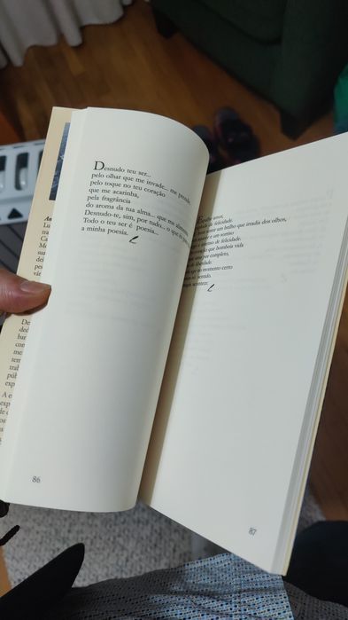 Livro - Sol e sal - Antônio Feijó