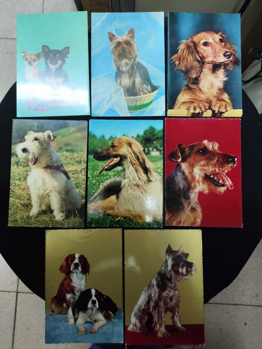 Varios postais vintage coleçoes