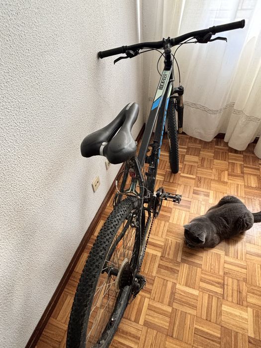 Bicicleta Perfeito Estado