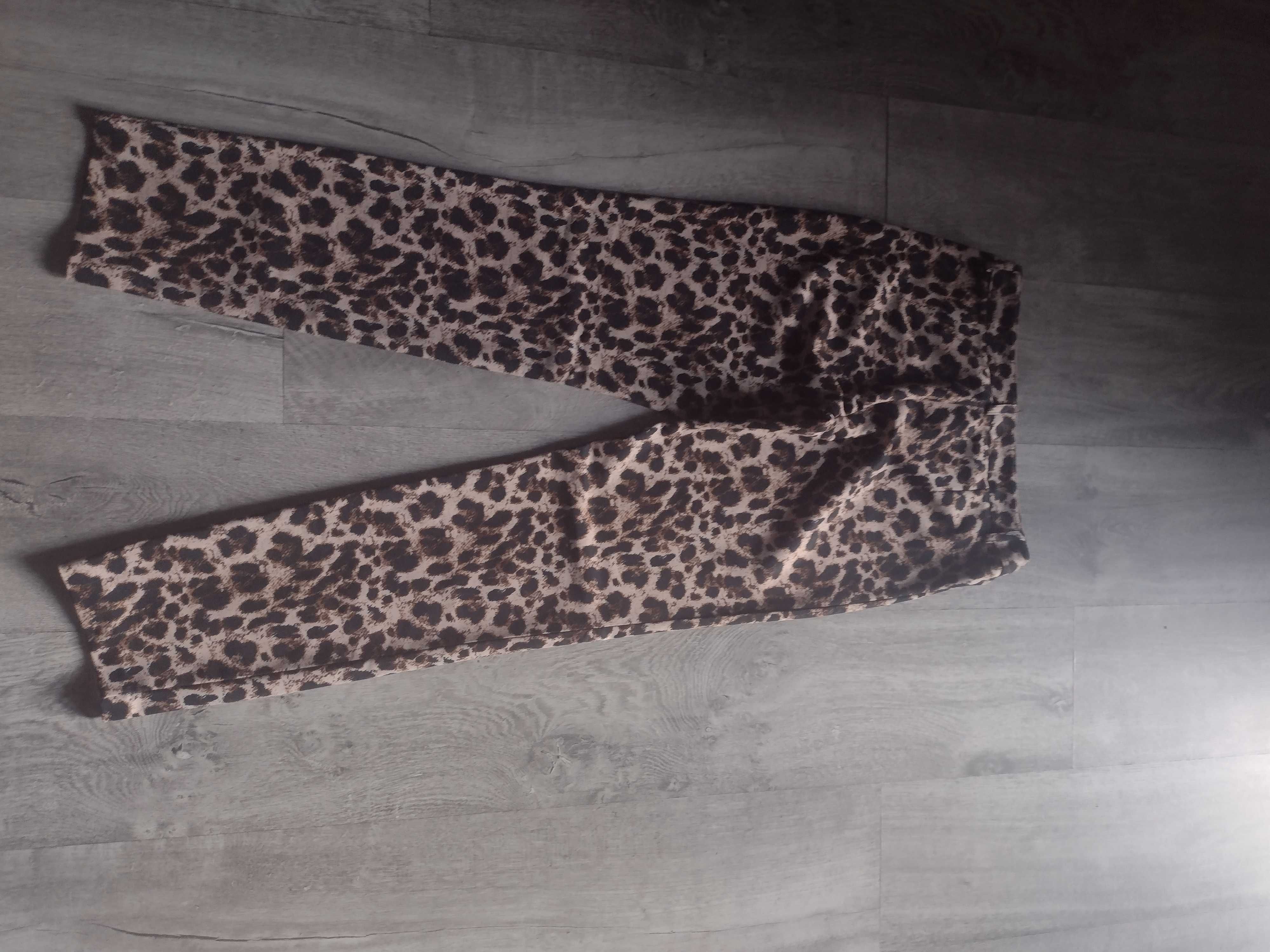 Spodnie w panterkę r. 38 Heidi Klum