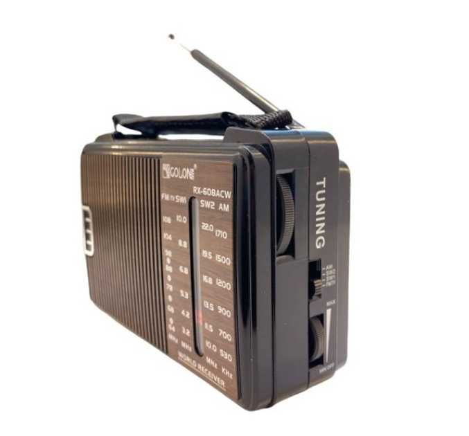 FM радиоприемник портативный Golon RX-608ACW, радио, есть опт