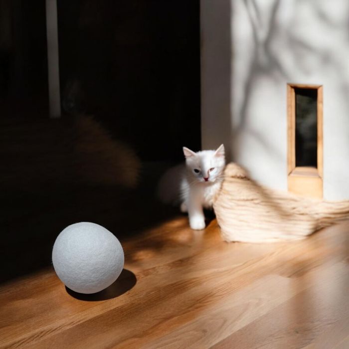 Kulki Wełniane dla Kota Zabawka 6 Szt Filcowe 38mm Ekologiczne Białe