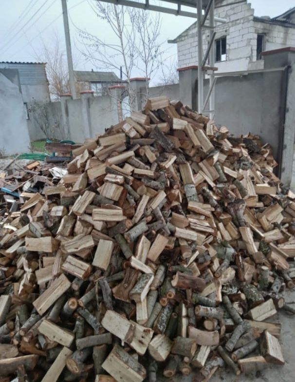Продам дрова «Тополь»