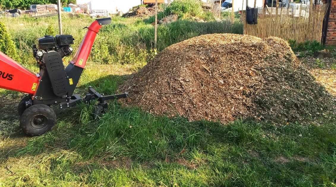 Zrębki iglaste świeże