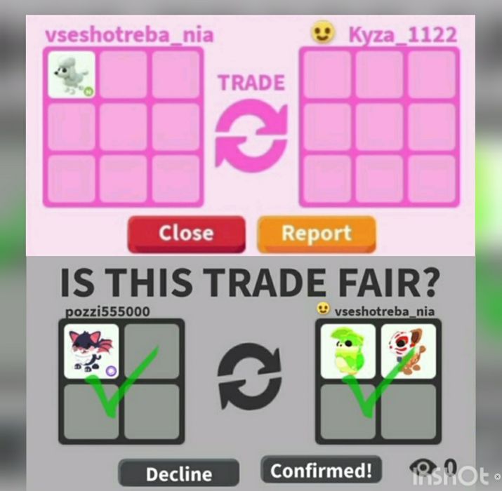 Пети адопт ми в гарному стані