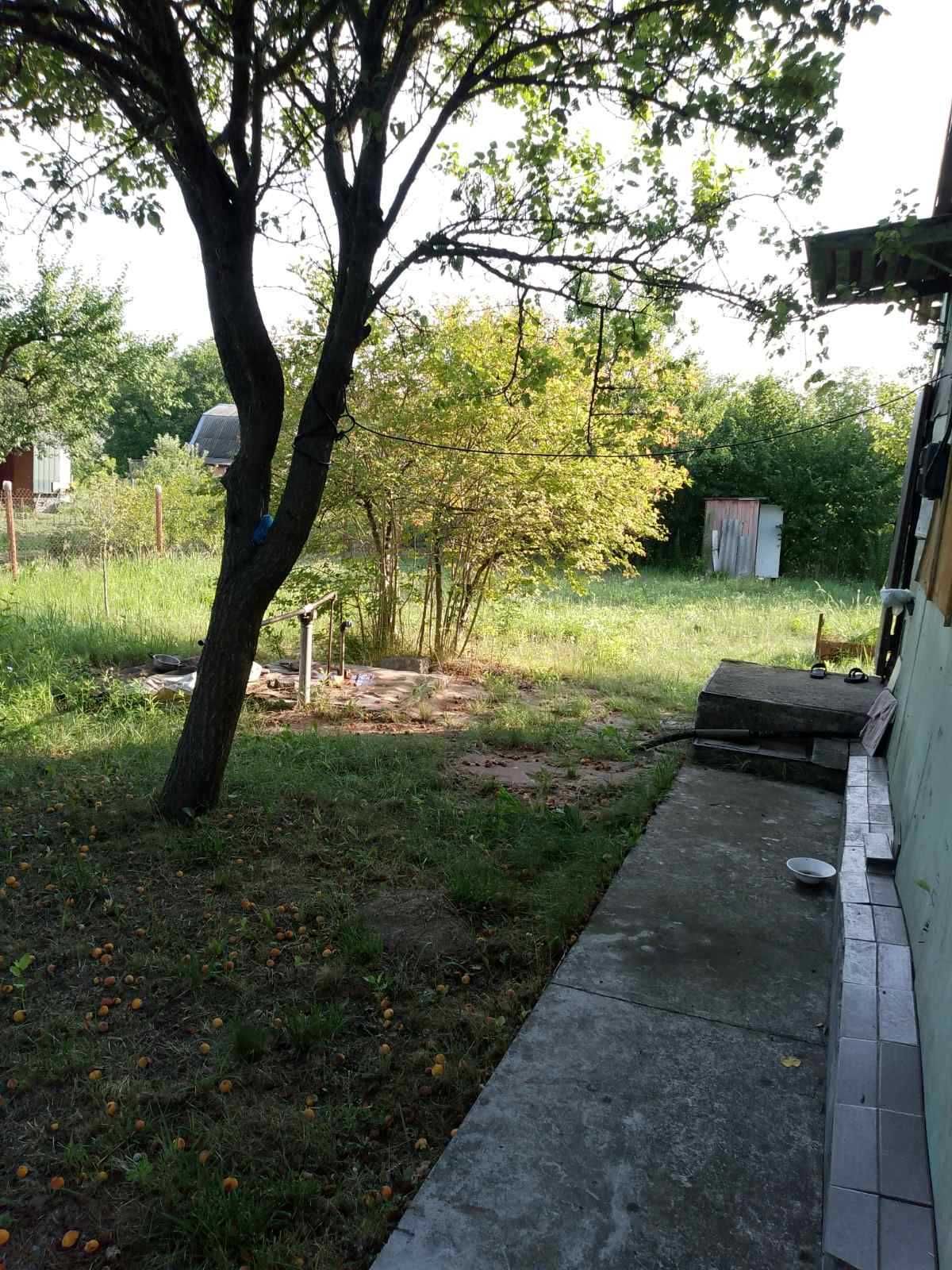 Продам ділянку с. Шевченкове, Броварський район.