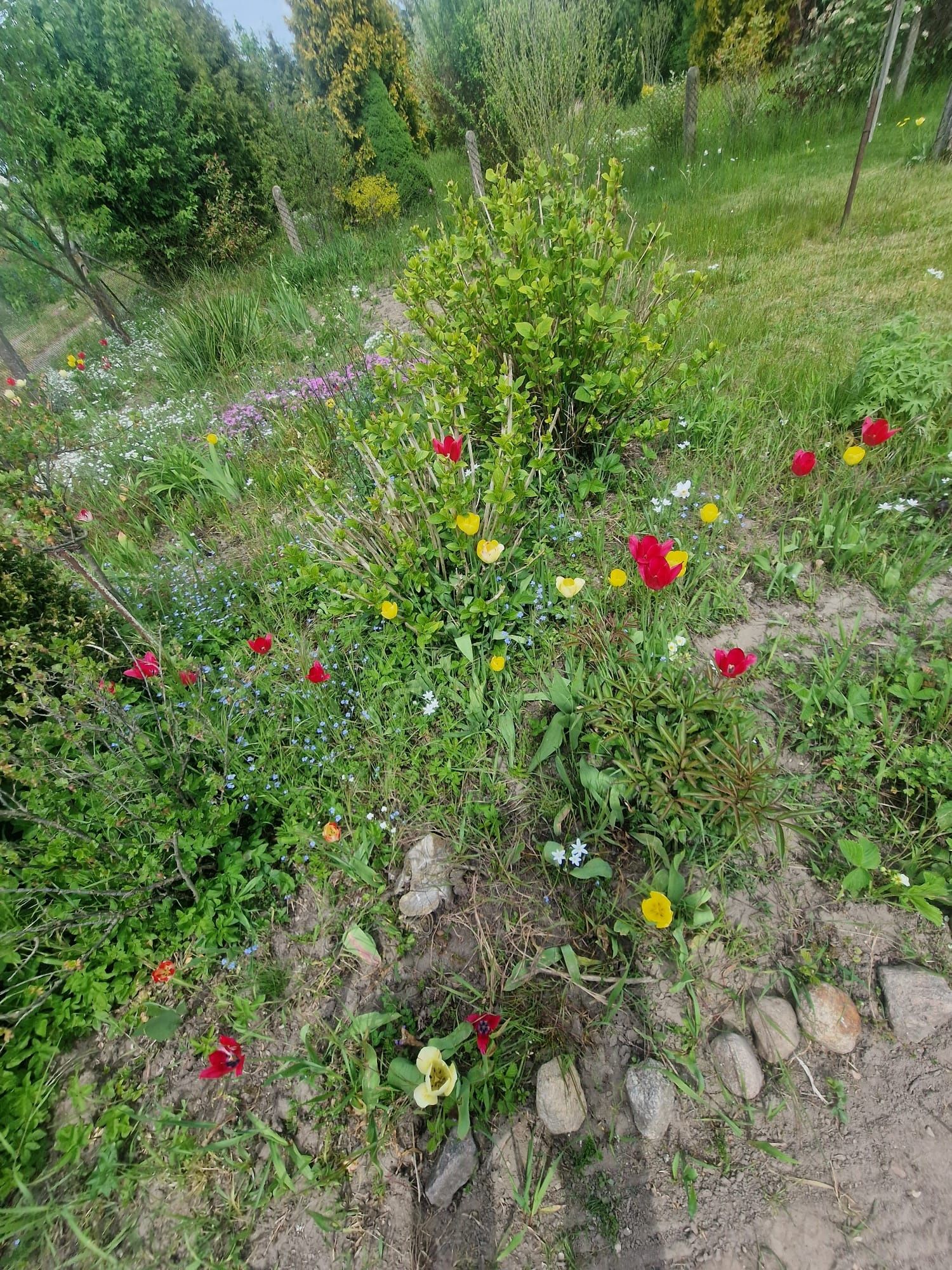 SPRZEDAM Działkę Ogrodową 460m2,prąd, woda!!!