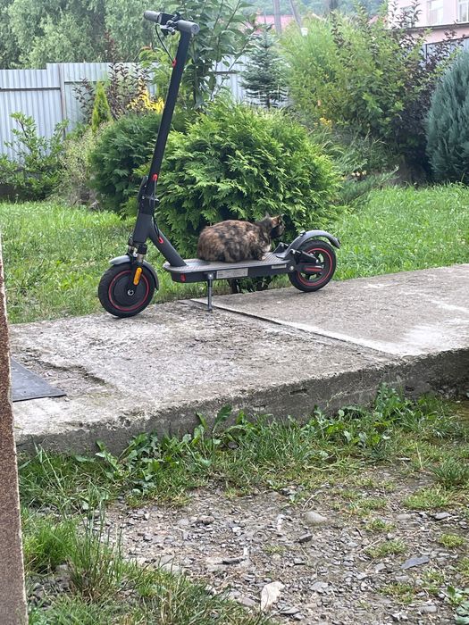 KUGOO PRO 5 Max 500W 13Ah з подвійними посиленими амортизаторами